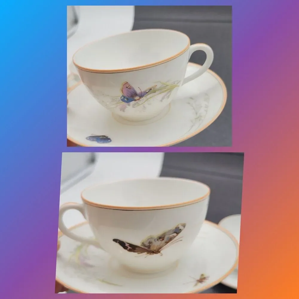 READ 2 ? Haviland Limoges ? Meadow Visitors Cup/Saucer Butterflies/Grasses